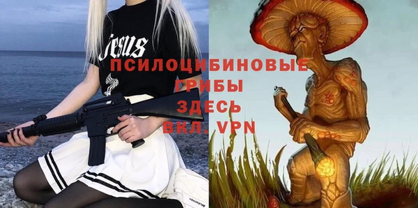 стафф Алексеевка