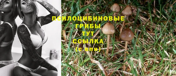 стафф Алексеевка