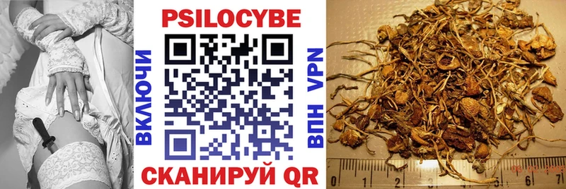 Галлюциногенные грибы Psilocybe  OMG ссылка  Зеленоградск 